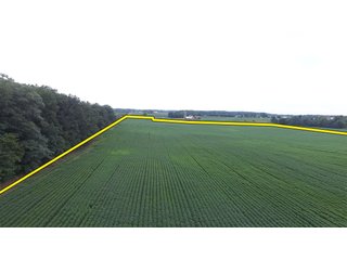 Property photo 15 - LAND AUCTION - 89.5+/- ACRES IN 3 TRACTS IN WILLIAMS COUNTY, OHIO